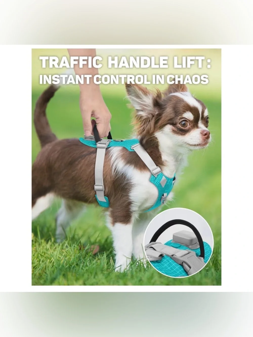 TagME Light Up Dog Harness